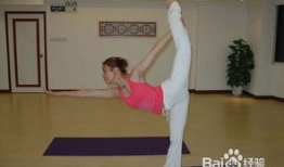 瑜伽初入门教学视频,入门教学视频精华解析